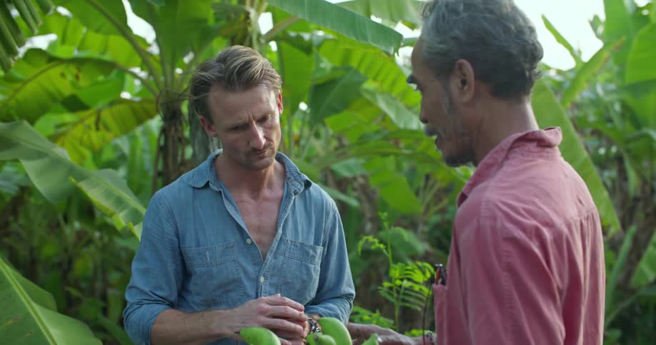 Two men have a conversation while holding a bunch of green plantains on a tropical plantation