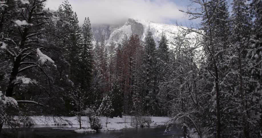 A snowy forest in front of a mountain