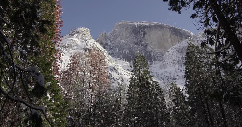 A snowy mountain with a forest at its base