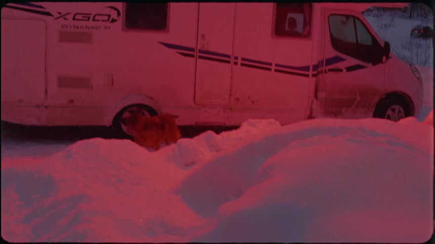 Four people dance on top of a motorhome and one waves a flare in the air as a dog on the ground jumps up at them
