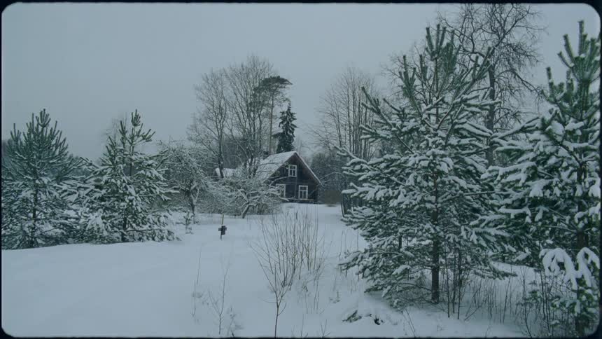 A cabin in a snowy woodland under a cloudy daytime sky