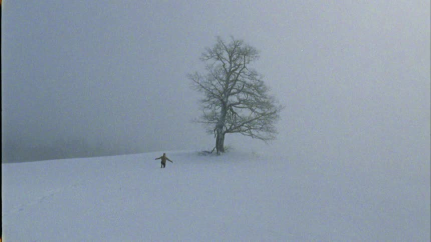 A person is walking up a snow covered hill near a bare tree in a blizzard and they fall down into the snow