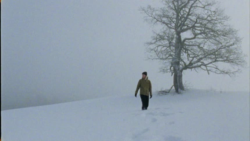 A young man standing on a hill near a bare tree in the snow