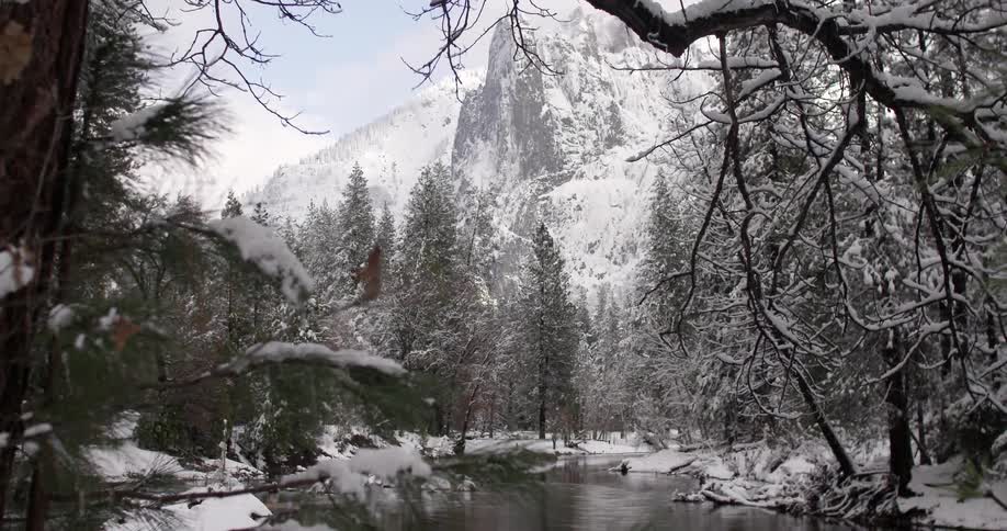 A snowy forest pond