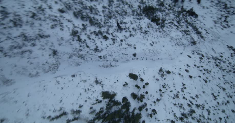 A paraglider sails over a snowy field