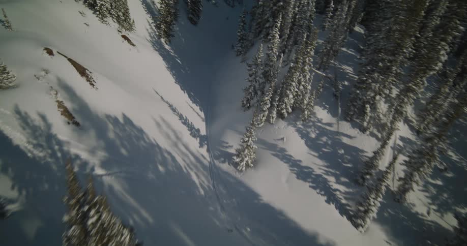 Moving down over a steep snow covered mountain slope filled with trees