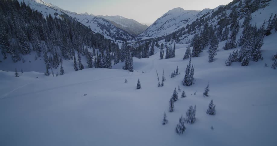 Skier takes jump off hill while skiing through snow in conifer covered valley