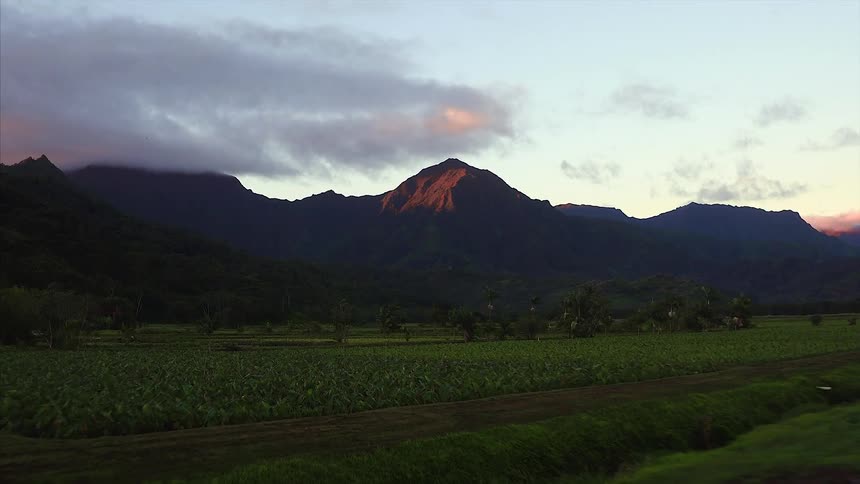 Aerial view flying over rice fields toward mountains at dusk or dawn