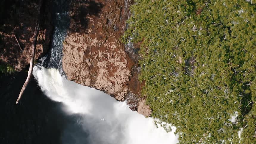 A bird flies past a waterfall below