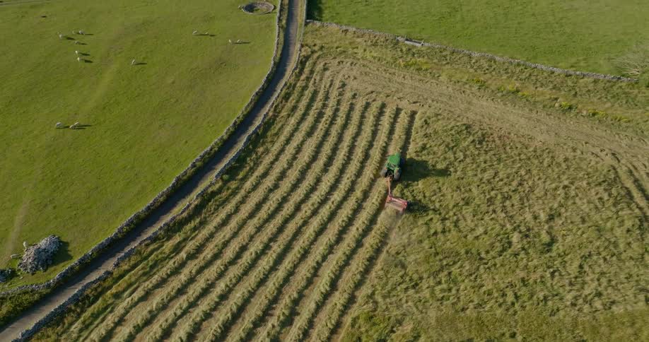 The tractor drives over the field