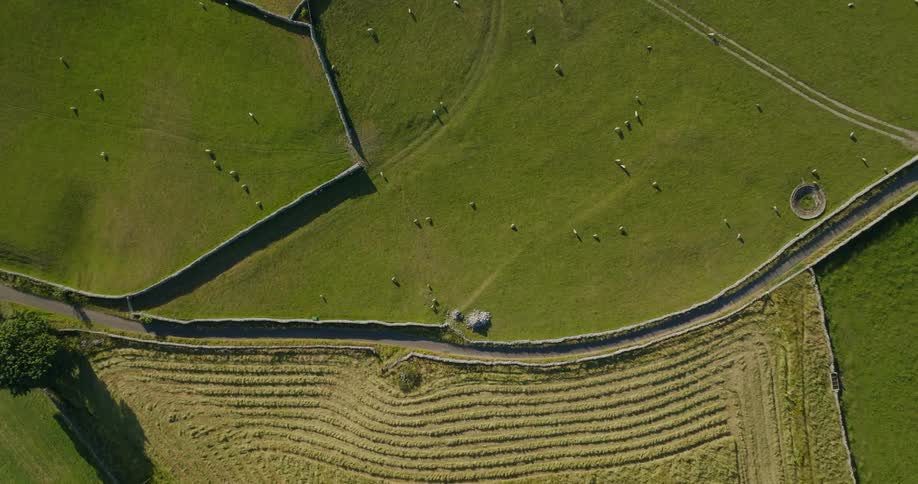 Aerial view of a road running through a rural area with a farm and sheep in the pasture