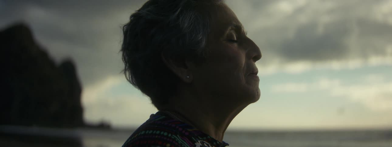 A womans uplifted face in profile with eyes closed standing on the beach under gray clouds
