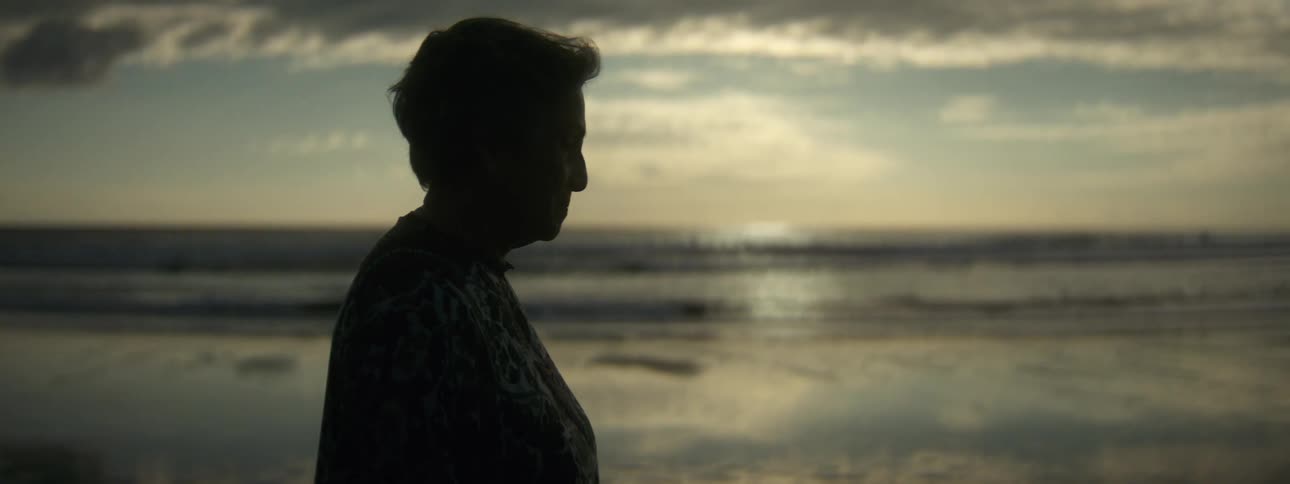 A woman is standing on a beach as the sun is setting