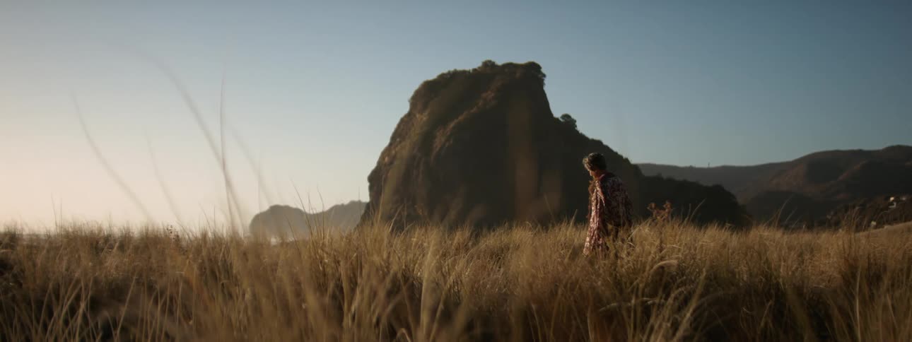 A woman walks through a field past a mesa