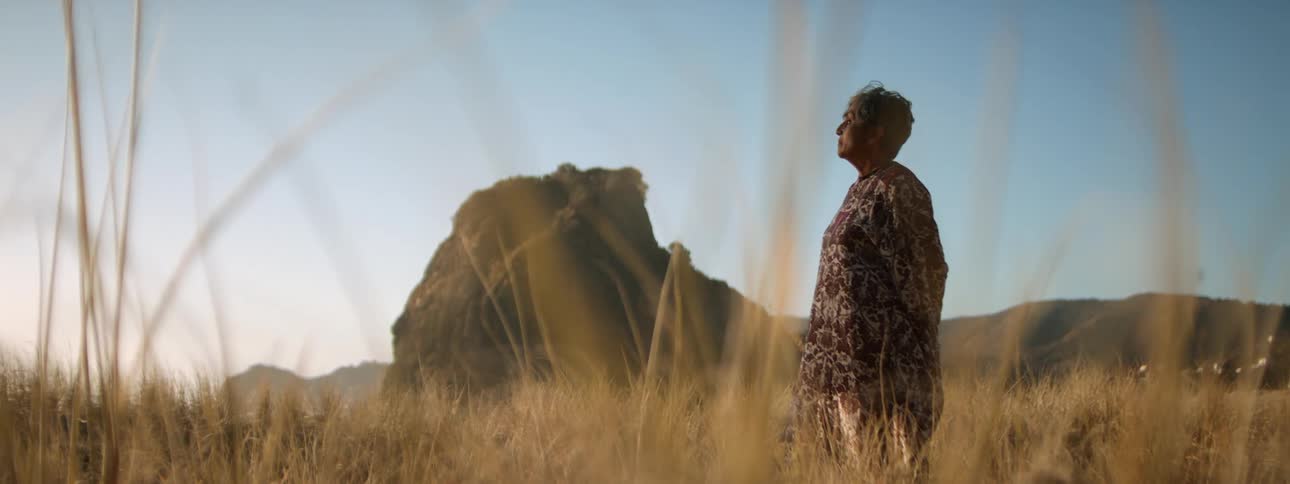 A woman stands in a field near a canyon