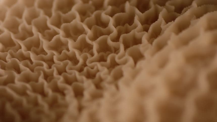 Close up view of an unusual object rotating with a honeycomb type texture