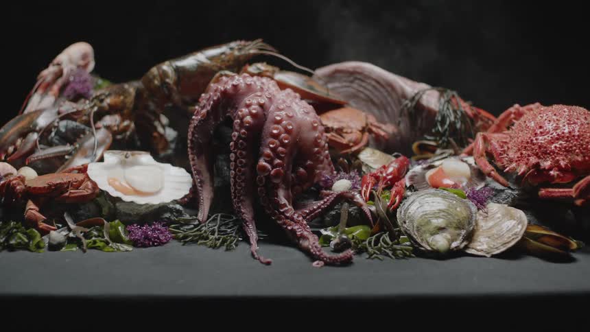 A seafood display is on a table with oysters and clams and also a lobster and crab with an octopus showing tentacles front and center