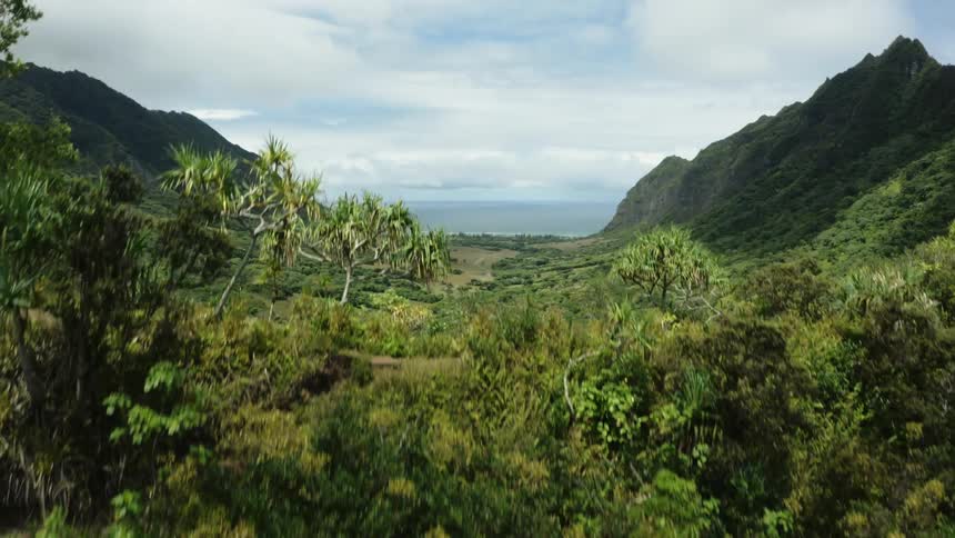 A tree covered ridge leads to a lush green valley and mountains