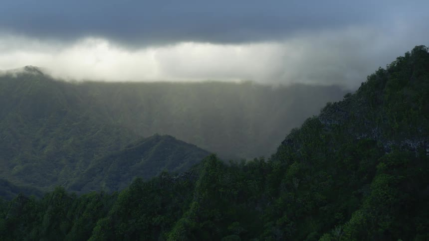Plants grow along the sides and top of a vast canyon