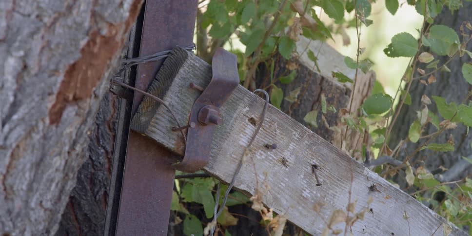 A wooden plank is screwed to a metal bar by some leaves