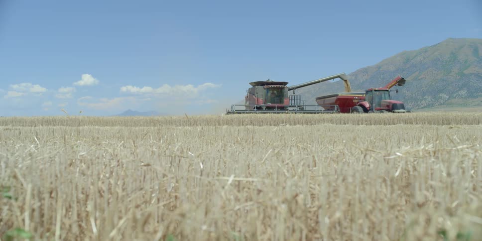 A tractor in a field of hay