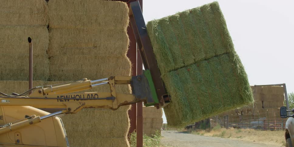 A forklift transferring large bales of hay
