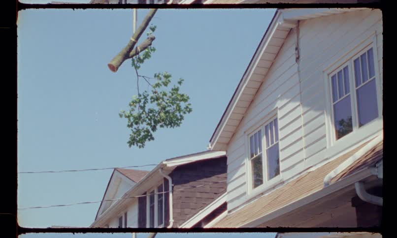 A rope is used to remove a cut down tree branch over a house