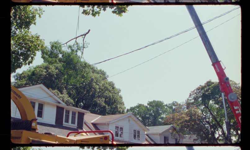 A crane lifting a large tree branch over and away from a neighborhood home
