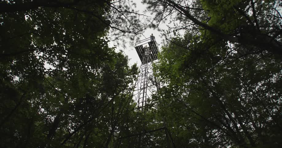 A person stands in a look out tower in a forest