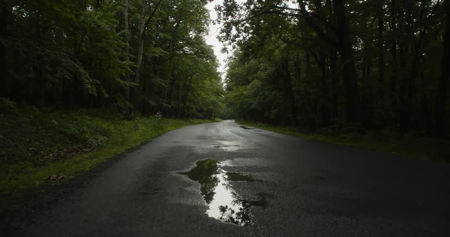 A puddle on a road through a woodland during the day
