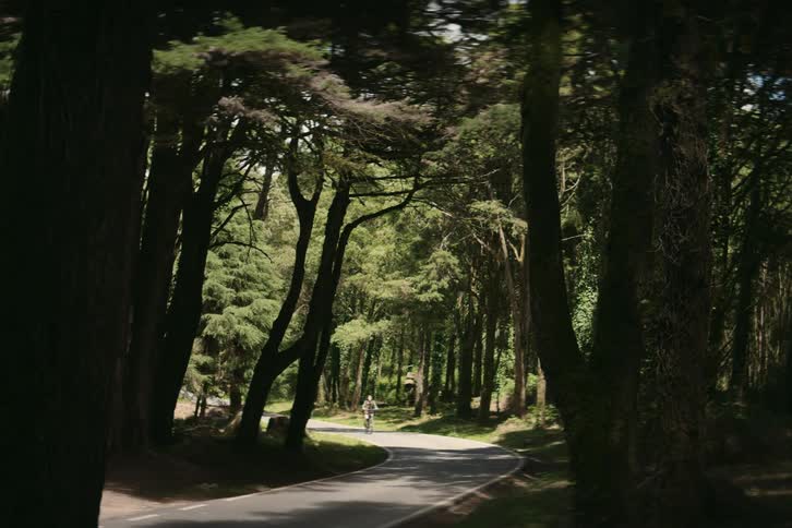 A cyclist rides a bicycle along a narrow road through a forest during the day