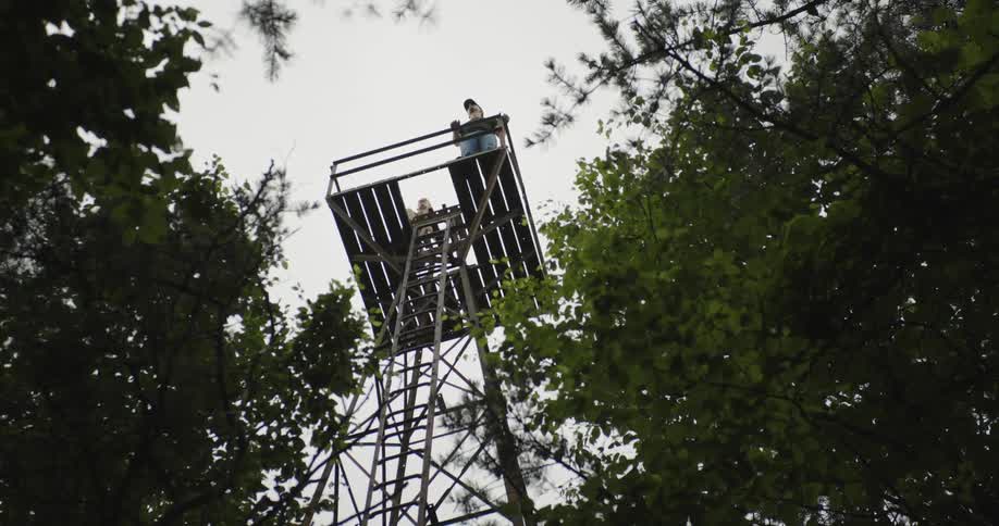 A man is standing on a tall tower in a forest