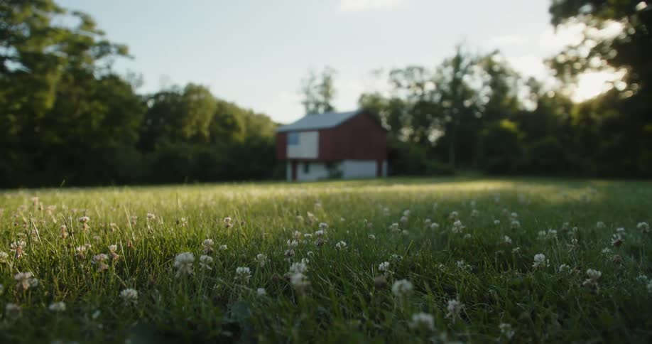 Flowers are in the grass and there is a house near the woods with an american flag on the side