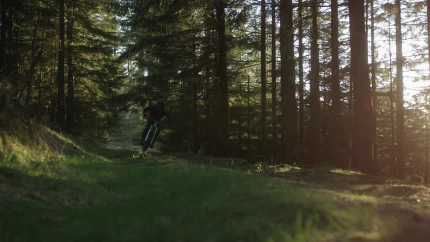 There is a man riding his back in the middle of the forest