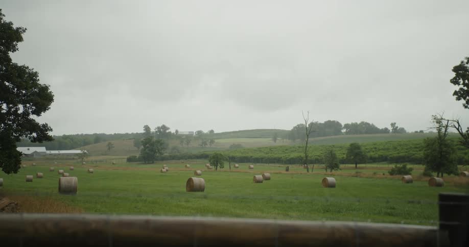 There is a field of grass in the nature area in the middle of the day time