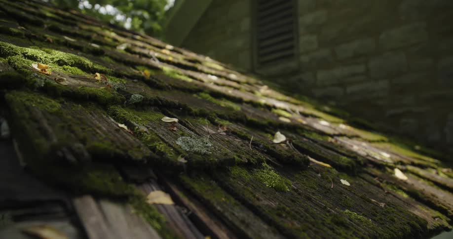Sun shines on a roof covered in wooden shingles