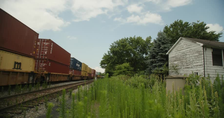 There is a train in the middle of the forest area