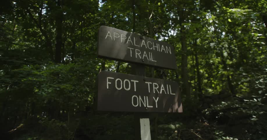 A sign for a trail is in the forest