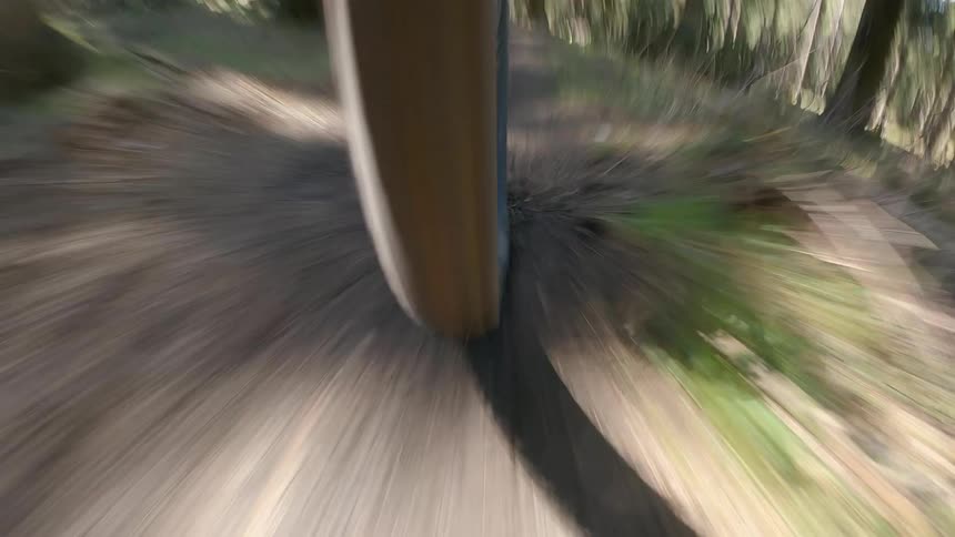 A mountain bike tire hitting and jumping on a dirt trail through the trees on a sunny day