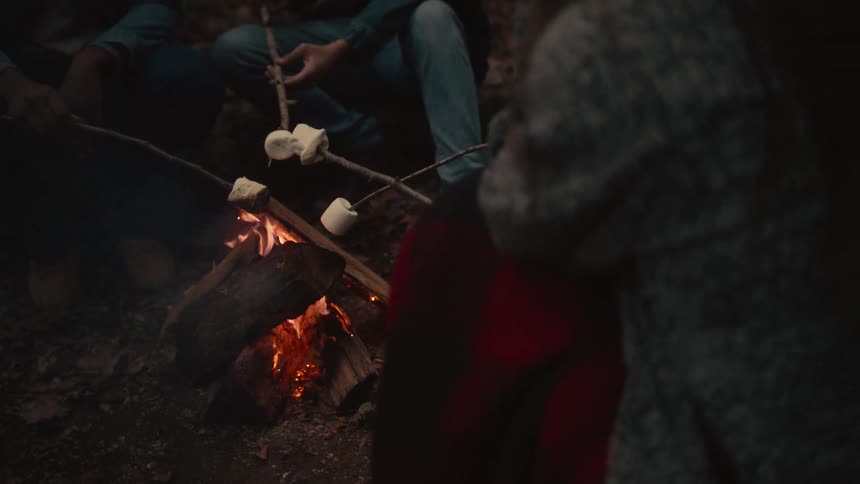 A view of people cooking marshmallows outdoors