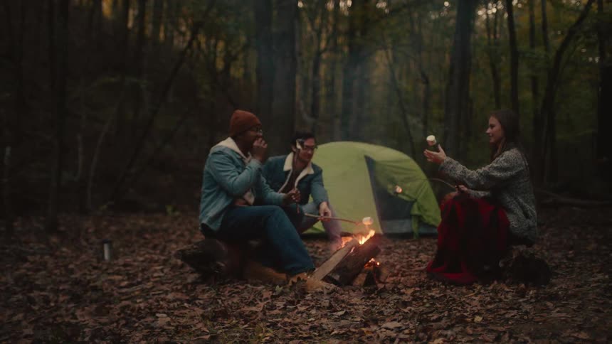 Group of friends sitting around a campfire in the forest cooking marshmallows