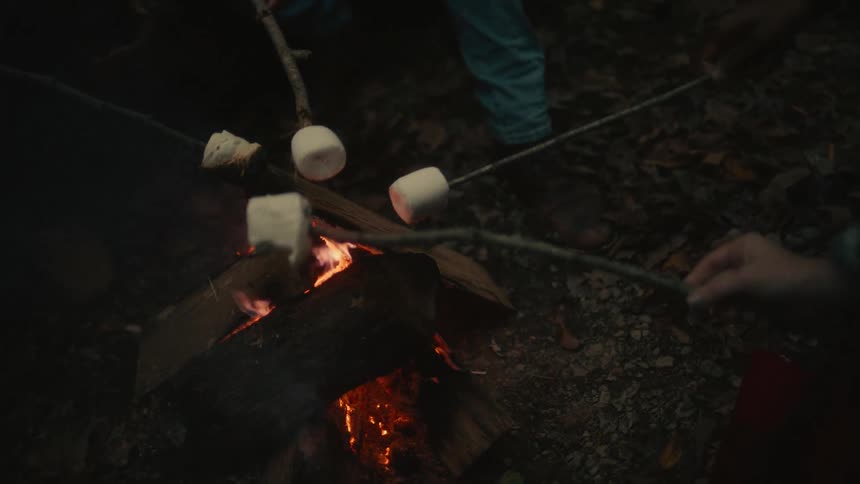Group of friends cooking marshmallows on sticks over a campfire at night
