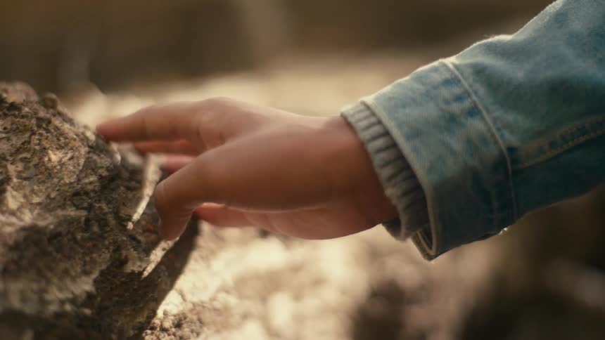 Close up fo the hand of a person gently touching the bark of a fallen tree