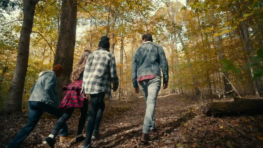 A group of people hiking in a forest