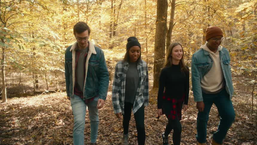 Group of friends on a relaxing walk through the forestat daytime