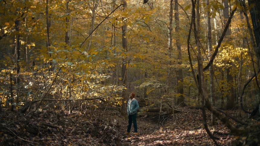 A person standing out in a forest