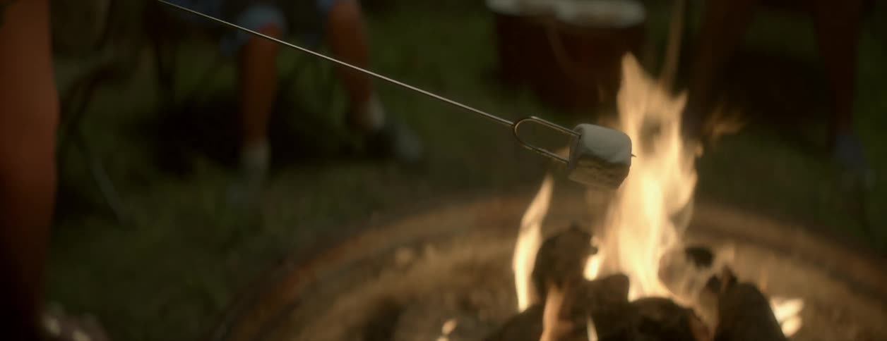 A person is roasting a marshmallow in the fire