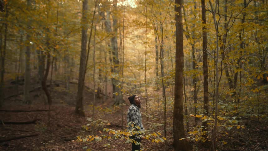 A woman is standing in the woods
