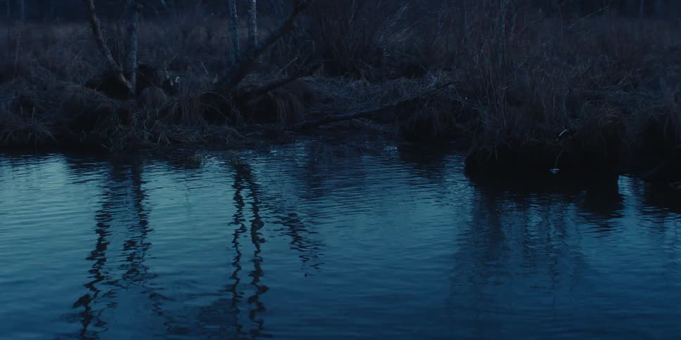 Plants and trees along the shore reflect on the water as it ripples and moves