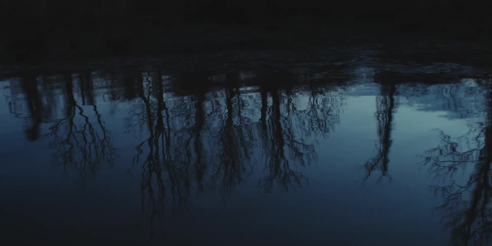 Trees along a riverbank reflect on the water